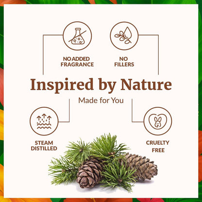 SVA Zedernholz Ätherisches Öl – 118 ml – 100 % natürliches Zedernholz Cupressus Funebris Öl – für Diffuser, Haarpflege, Gesicht, Hautpflege, Aromatherapie, Kopfhaut- und Körpermassage, Seife und Kerzen – mit Pipette