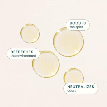 Cliganic USDA Bio Zitronenöl - 100% Rein & Natürlich, Unverdünnt, für Aromatherapie & Haushaltsreinigung, Non-GVO Bestätigt