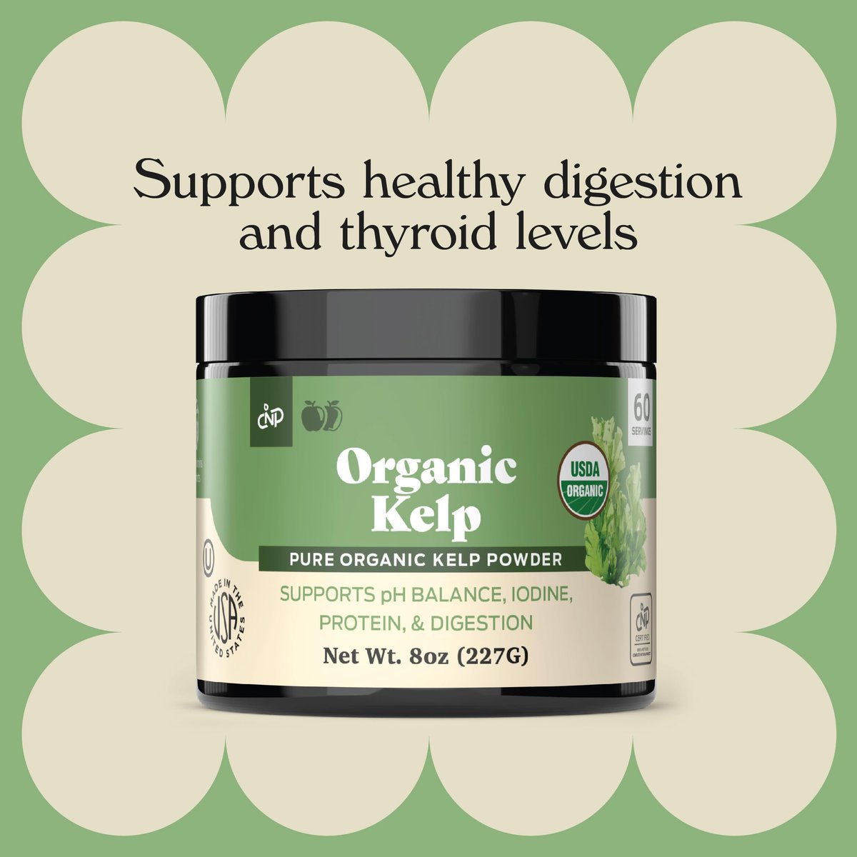 Bio Algenpulver Kelp - Roh, Trocken, Reines Seetangpulver 227g 75 Portionen - Schilddrüse, Jod & Verdauung