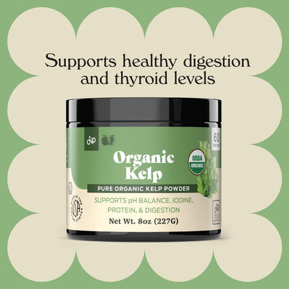 Bio Algenpulver Kelp - Roh, Trocken, Reines Seetangpulver 227g 75 Portionen - Schilddrüse, Jod & Verdauung