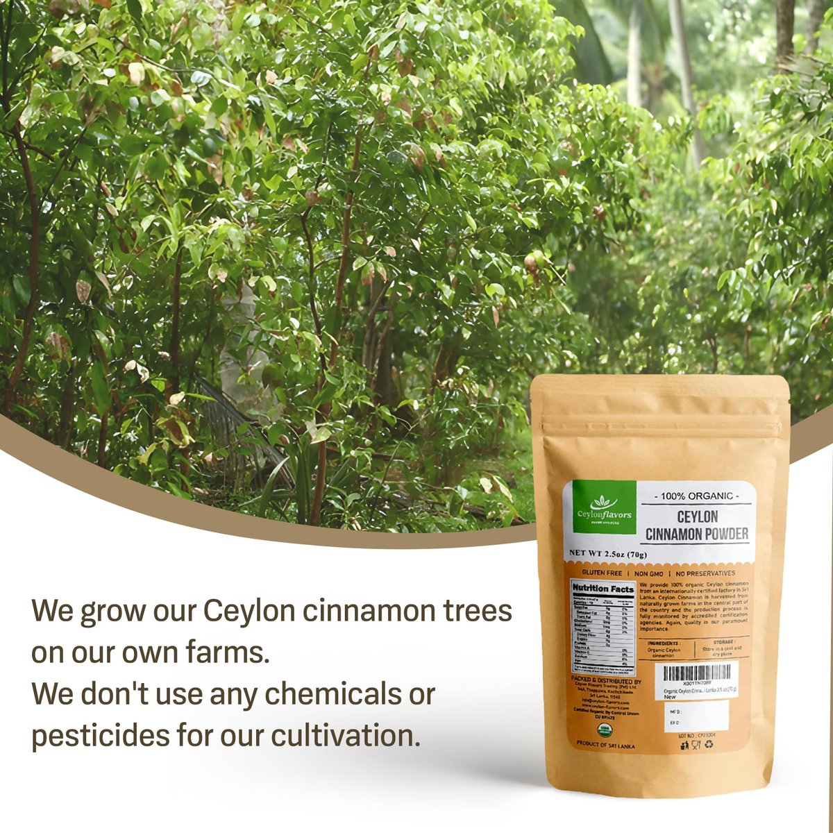 CEYLON FLAVORS Fresh and Pure Bio Ceylon Zimt Pulver Premium Qualität 70g