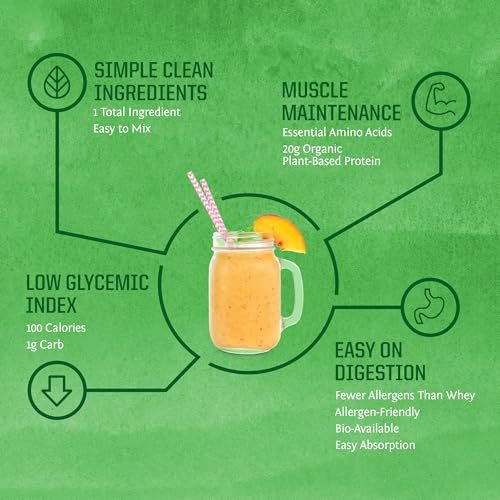 Sunwarrior Bio-Reisproteinpulver mit BCAA & Aminosäuren – Pflanzliches, glutenfreies, kohlenhydratarmes Proteinpulver, natürlicher Geschmack, 375 g