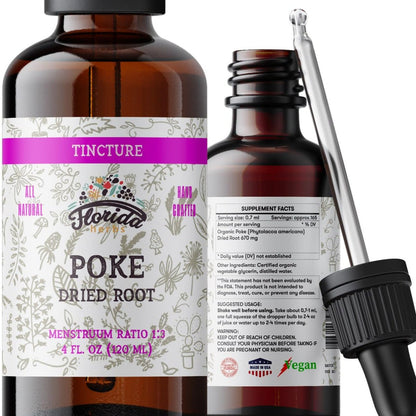 FLORIDA HERBS Bio Poke Root Tinktur | Poke-Extrakt für Immun- & Lymphunterstützung | Alkoholfrei, Vegan, Nicht-GMO | Hergestellt in USA | 60 ml