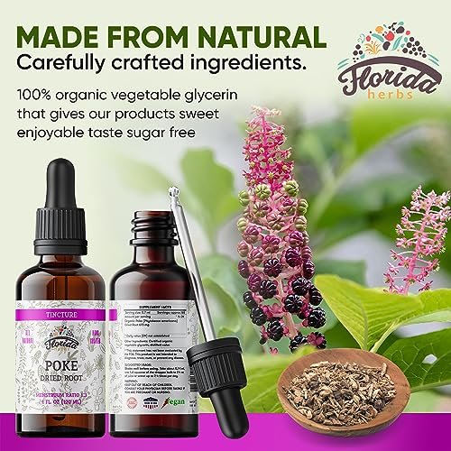 FLORIDA HERBS Bio Poke Root Tinktur | Poke-Extrakt für Immun- & Lymphunterstützung | Alkoholfrei, Vegan, Nicht-GMO | Hergestellt in USA | 60 ml
