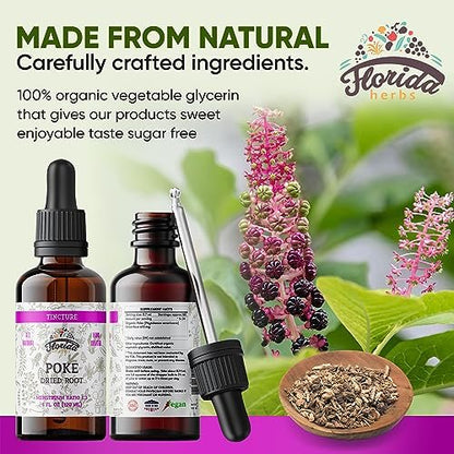FLORIDA HERBS Bio Poke Root Tinktur | Poke-Extrakt für Immun- & Lymphunterstützung | Alkoholfrei, Vegan, Nicht-GMO | Hergestellt in USA | 60 ml