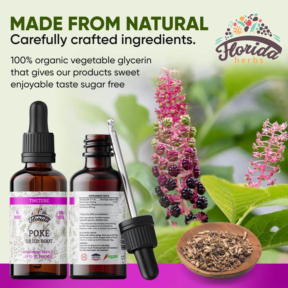 FLORIDA HERBS Bio Poke Root Tinktur | Poke-Extrakt für Immun- & Lymphunterstützung | Alkoholfrei, Vegan, Nicht-GMO | Hergestellt in USA | 60 ml
