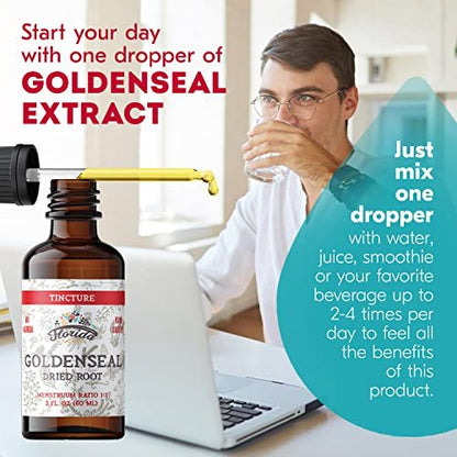 FLORIDA HERBS Goldenseal Tinktur 60 ml – Bio-Kräuterextrakt | Alkoholfrei | Vegane Kräutertropfen - Hergestellt in den USA