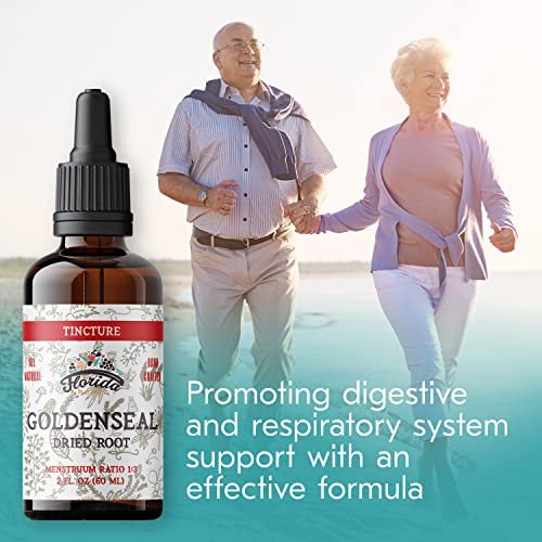 FLORIDA HERBS Goldenseal Tinktur 60 ml – Bio-Kräuterextrakt | Alkoholfrei | Vegane Kräutertropfen - Hergestellt in den USA