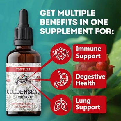 FLORIDA HERBS Goldenseal Tinktur 60 ml – Bio-Kräuterextrakt | Alkoholfrei | Vegane Kräutertropfen - Hergestellt in den USA