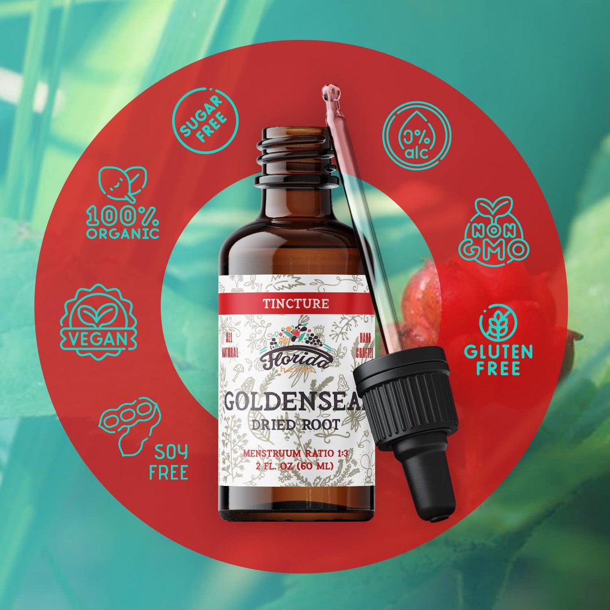 FLORIDA HERBS Goldenseal Tinktur 60 ml – Bio-Kräuterextrakt | Alkoholfrei | Vegane Kräutertropfen - Hergestellt in den USA