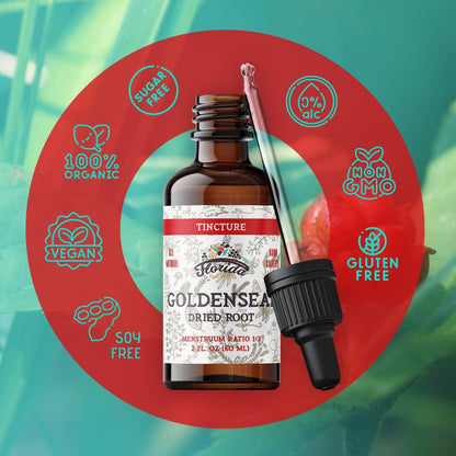 FLORIDA HERBS Goldenseal Tinktur 60 ml – Bio-Kräuterextrakt | Alkoholfrei | Vegane Kräutertropfen - Hergestellt in den USA