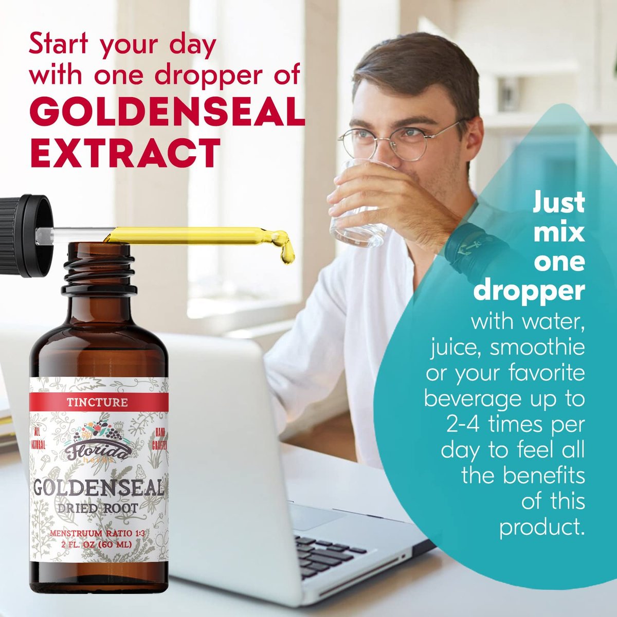 FLORIDA HERBS Goldenseal Tinktur 60 ml – Bio-Kräuterextrakt | Alkoholfrei | Vegane Kräutertropfen - Hergestellt in den USA