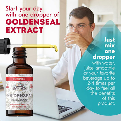 FLORIDA HERBS Goldenseal Tinktur 60 ml – Bio-Kräuterextrakt | Alkoholfrei | Vegane Kräutertropfen - Hergestellt in den USA