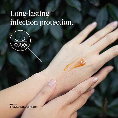 First Honey Wundheilungssalbe [ 28,4 g ] | 100 % aktives Leptospermum | Schnelle Linderung & Hautreparatur | Manuka-Honig aus Neuseeland | Antibiotikafreie Verbrennungsversorgung, Narbengel, Wundversorgung