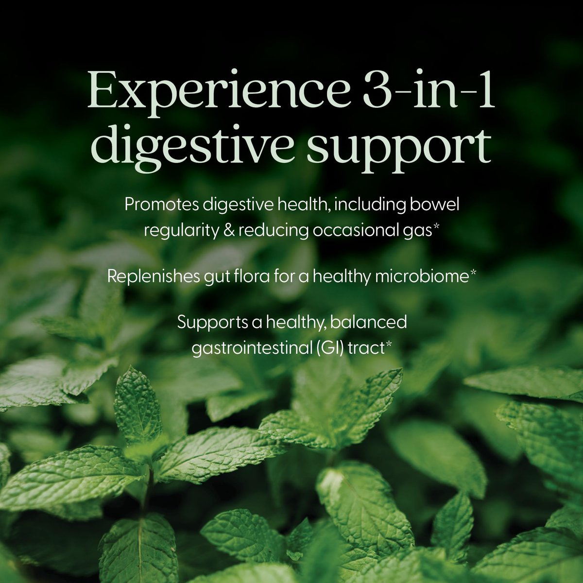 New Chapter All-Flora Probiotikum für fortgeschrittene Verdauung & vollständige Darmgesundheit mit Präbiotika + Postbiotika, klinisch starke Stämme, 100% vegetarisch, nicht-GVO, haltbar ohne Kühlung - 30 Kapseln (1 Monatsvorrat)