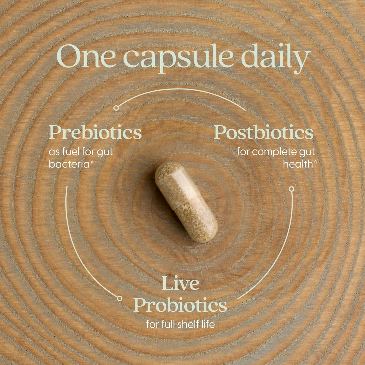 New Chapter All-Flora Probiotikum für fortgeschrittene Verdauung & vollständige Darmgesundheit mit Präbiotika + Postbiotika, klinisch starke Stämme, 100% vegetarisch, nicht-GVO, haltbar ohne Kühlung - 30 Kapseln (1 Monatsvorrat)