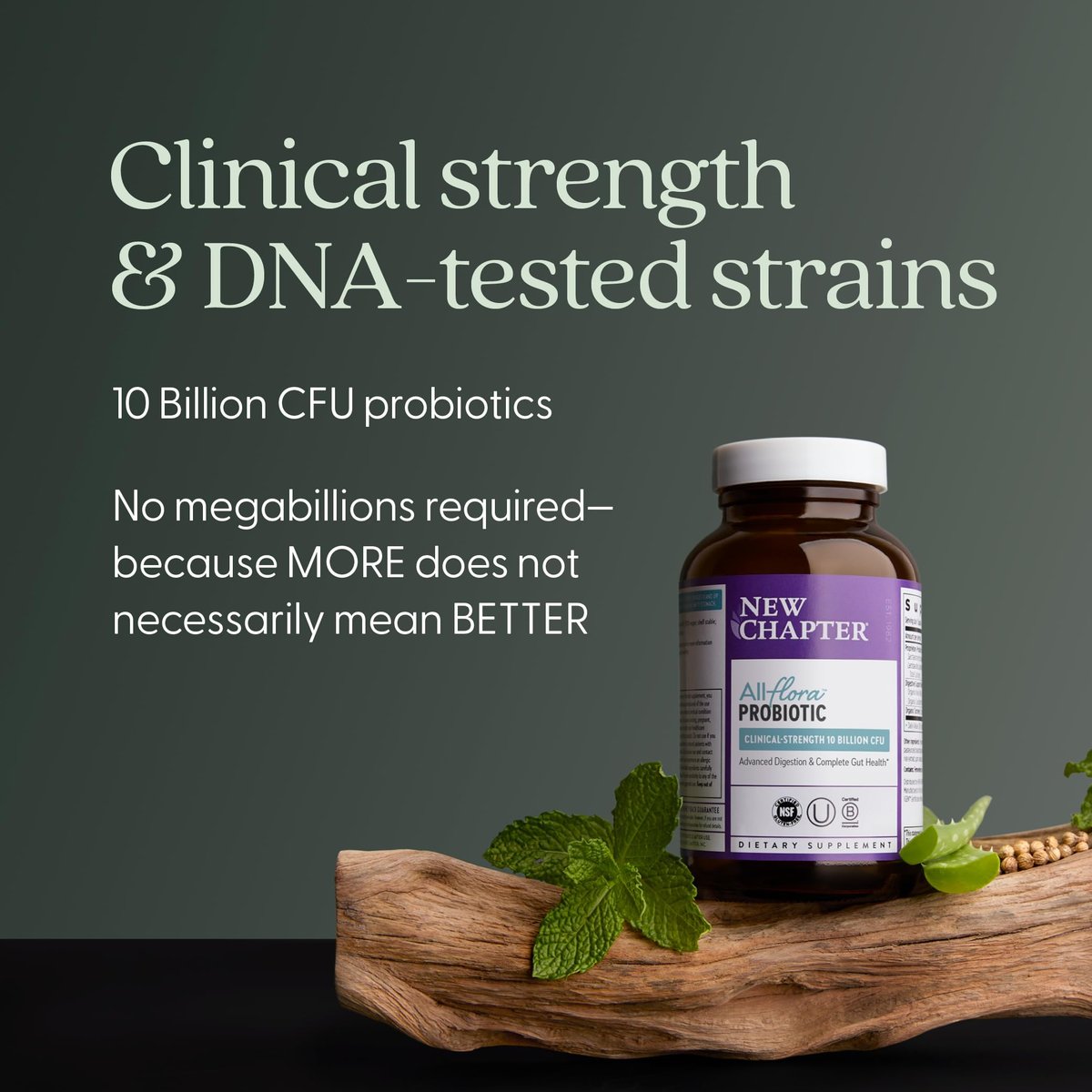 New Chapter All-Flora Probiotikum für fortgeschrittene Verdauung & vollständige Darmgesundheit mit Präbiotika + Postbiotika, klinisch starke Stämme, 100% vegetarisch, nicht-GVO, haltbar ohne Kühlung - 30 Kapseln (1 Monatsvorrat)