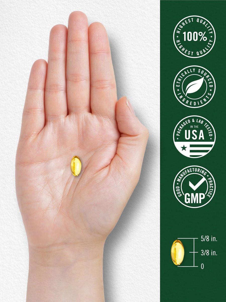 Carlyle Oregano Öl Kapseln | 150 Weichkapseln | Mit Carvacrol | Non-GMO & Glutenfrei