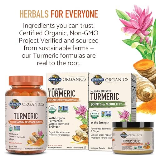 Garden of Life Organics Golden Milk Pulver – 44 mg Kurkuma Curcumin (95 % Curcuminoide), Ashwagandha – Bio, vegan, glutenfrei, 30 Portionen