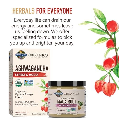 Garden of Life Organics Fair Trade Gelatinized Peruvian Maca Root Pulver – Energie-Booster, 225 g, mit Probiotika, zertifiziert bio, vegan & glutenfrei