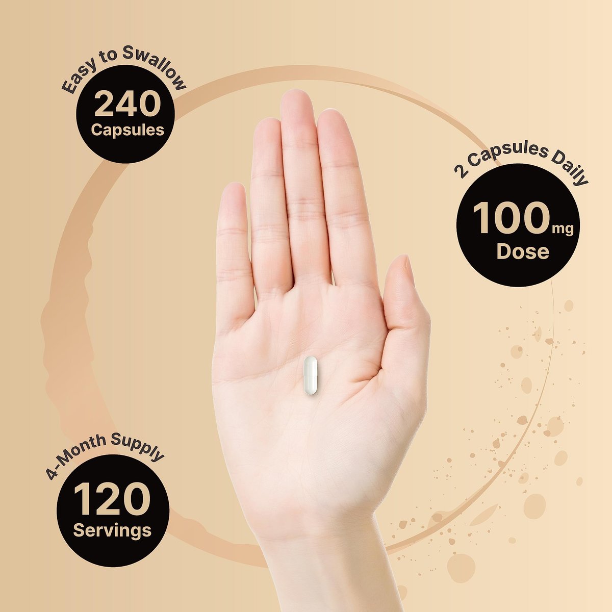 NatureBell P5P Vitamin B6 100 mg pro Portion, 240 Kapseln | Aktiviertes Pyridoxal-5-Phosphat – Essentielle B-Vitamine für Gehirn- und Gedächtnisgesundheit – Nicht-GMO