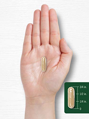 Carlyle Fo-Ti Supplement | 180 Kapseln | He-Shou-Wu Wurzelextrakt | Nicht-GVO & Glutenfrei