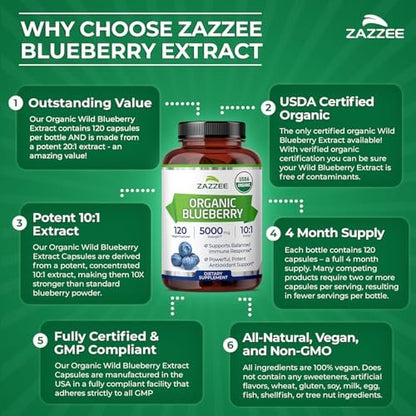 Zazzee USDA Bio-Blaubeere 10:1 Extrakt, 120 vegane Kapseln, 4 Monate Vorrat, ganze Frucht, Vaccinium Angustifolium, Antioxidantien & Zellgesundheit, Kräuterergänzung, Nicht-GVO, Hergestellt in den USA