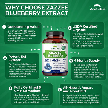 Zazzee USDA Bio-Blaubeere 10:1 Extrakt, 120 vegane Kapseln, 4 Monate Vorrat, ganze Frucht, Vaccinium Angustifolium, Antioxidantien & Zellgesundheit, Kräuterergänzung, Nicht-GVO, Hergestellt in den USA