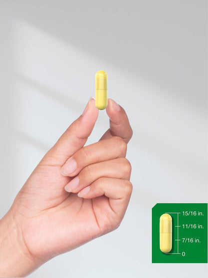 Horbaach Berberin HCL Kapseln | 500 mg | 120 Kapseln | aus Berberitzen-Extrakt | Therapeutische Qualität | Vegetarisch, Non-GMO, Glutenfrei
