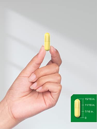 Horbaach Berberin HCL Kapseln | 500 mg | 120 Kapseln | aus Berberitzen-Extrakt | Therapeutische Qualität | Vegetarisch, Non-GMO, Glutenfrei