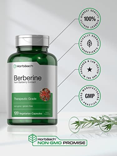 Horbaach Berberin HCL Kapseln | 500 mg | 120 Kapseln | aus Berberitzen-Extrakt | Therapeutische Qualität | Vegetarisch, Non-GMO, Glutenfrei