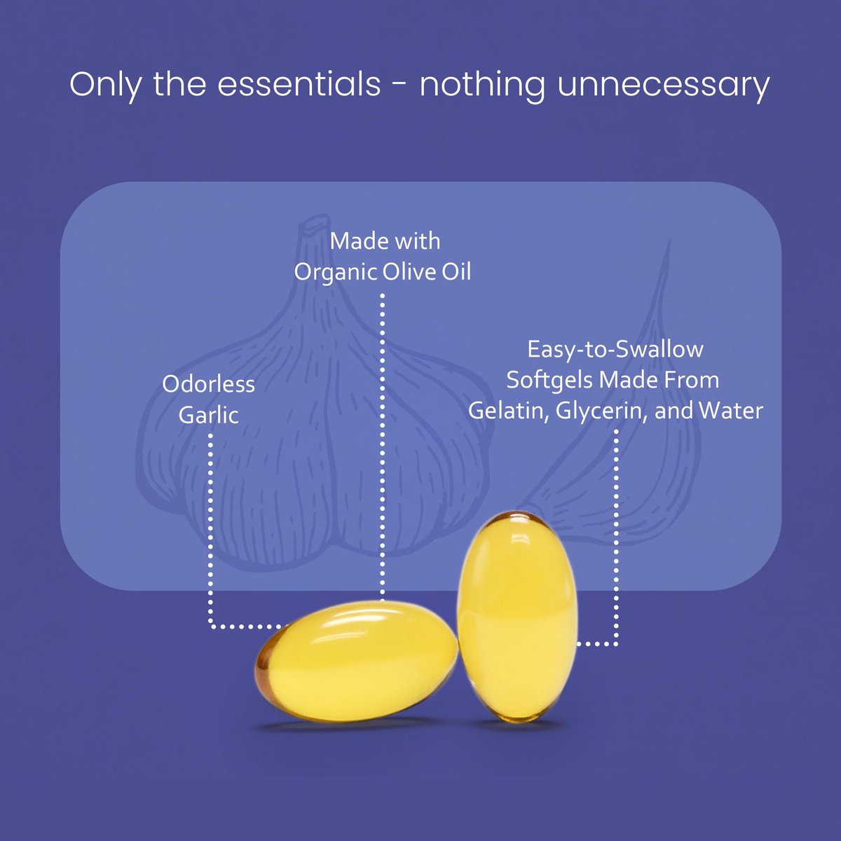 NaturaLife Labs Geruchloses Knoblauchöl – Konzentrierter 100:1 Knoblauchextrakt mit Olivenöl – 150 Softgels – Nicht-GVO, glutenfrei