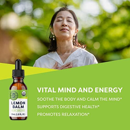 Vimergy Bio-Zitronenmelisse-Tinktur, USDA Organic, Alkoholfrei, 30 ml