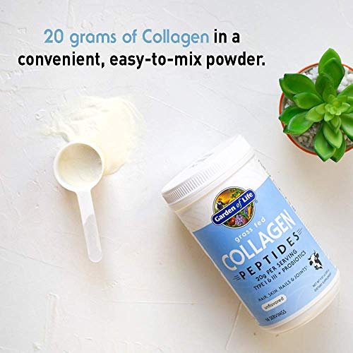 Garden of Life Grassfed Collagen Peptide Pulver ungesüßt – Hydrolysiertes Kollagen für Haut, Haare, Nägel & Gelenke, 14 Portionen