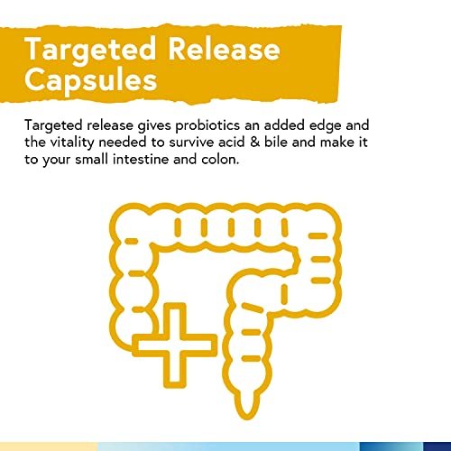 Terranics Probiotika 60 Milliarden CFU, 20 Stämme, 60 vegane Kapseln - Präbiotika & Probiotika, haltbares Nahrungsergänzungsmittel für Männer & Frauen, Non-GMO, ohne Soja, Milch & Gluten