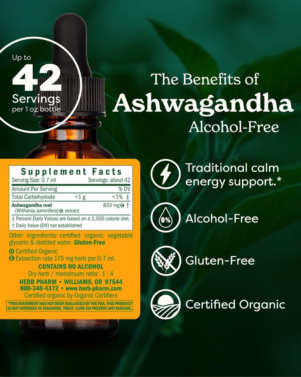 Herb Pharm Bioaktiver Ashwagandha-Flüssigextrakt ohne Alkohol – Stimmungsunterstützung, veganes Ashwagandha-Wurzel-Glycerit, geschmackvolles Adaptogen für Erwachsene, nicht-GVO, 30 ml