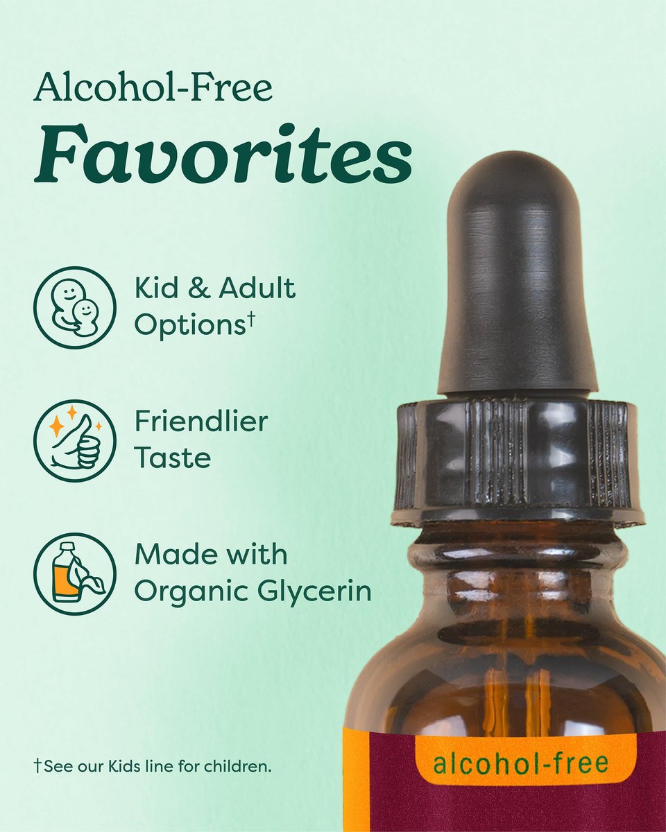 Herb Pharm Bioaktiver Ashwagandha-Flüssigextrakt ohne Alkohol – Stimmungsunterstützung, veganes Ashwagandha-Wurzel-Glycerit, geschmackvolles Adaptogen für Erwachsene, nicht-GVO, 30 ml