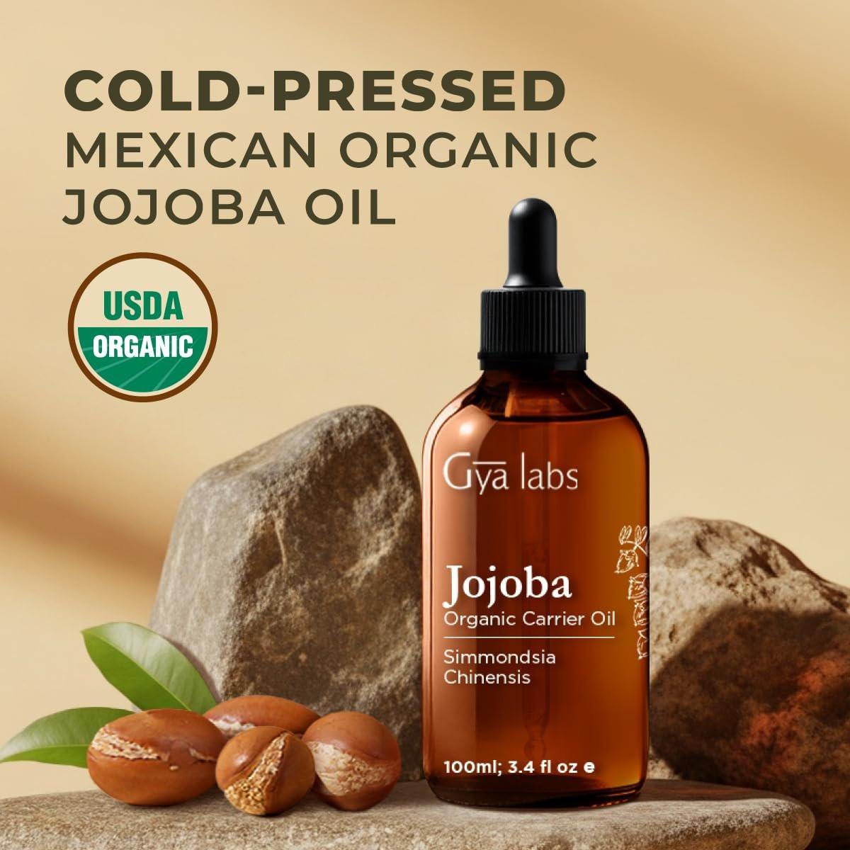 Gya Labs USDA Bio-Jojobaöl - 100 ml - Trägeröl für Haare, Haut, Gesicht, Kopfhaut & Körpermassage