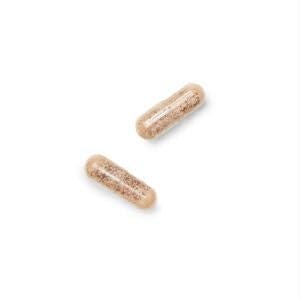 GNC Gentlesorb Eisen 18 mg Nahrungsergänzungsmittel – Unterstützt die Bildung roter Blutkörperchen, 90 Portionen