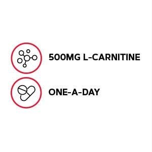 GNC Gentlesorb Eisen 18 mg Nahrungsergänzungsmittel – Unterstützt die Bildung roter Blutkörperchen, 90 Portionen