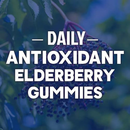 Elderberry Immun-Boost Gummis – 3-fach Stärke mit Holunderbeere, Vitamin C, D3 & Zink – 60 Gummis für Erwachsene & Kinder