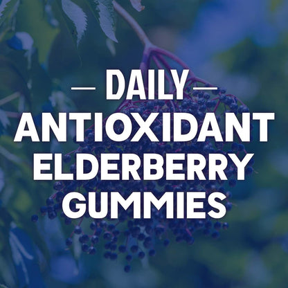 Elderberry Immun-Boost Gummis – 3-fach Stärke mit Holunderbeere, Vitamin C, D3 & Zink – 60 Gummis für Erwachsene & Kinder