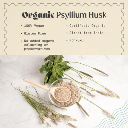 NaturaleBio Bio Ganzes Flohsamenschalenpulver 340g – 99% reine Flohsamenschalen, USDA Bio-zertifiziert, Isabgol-Ballaststoff für Keto, Paleo, Vegan & Glutenfrei