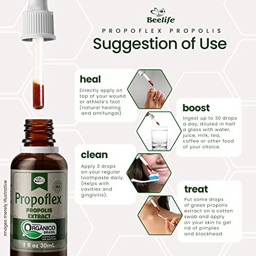 Beelife Propoflex Bio-Propolis Extrakt Organisch – Hoher Artepillin-C-Gehalt, Antioxidantienreiches Nahrungsergänzungsmittel für das allgemeine Wohlbefinden – Natürlich & Koscher – Hergestellt in Brasilien, 30 ml
