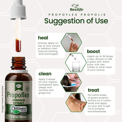 Beelife Propoflex Bio-Propolis Extrakt Organisch – Hoher Artepillin-C-Gehalt, Antioxidantienreiches Nahrungsergänzungsmittel für das allgemeine Wohlbefinden – Natürlich & Koscher – Hergestellt in Brasilien, 30 ml