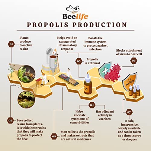 Beelife Propoflex Bio-Propolis Extrakt Organisch – Hoher Artepillin-C-Gehalt, Antioxidantienreiches Nahrungsergänzungsmittel für das allgemeine Wohlbefinden – Natürlich & Koscher – Hergestellt in Brasilien, 30 ml
