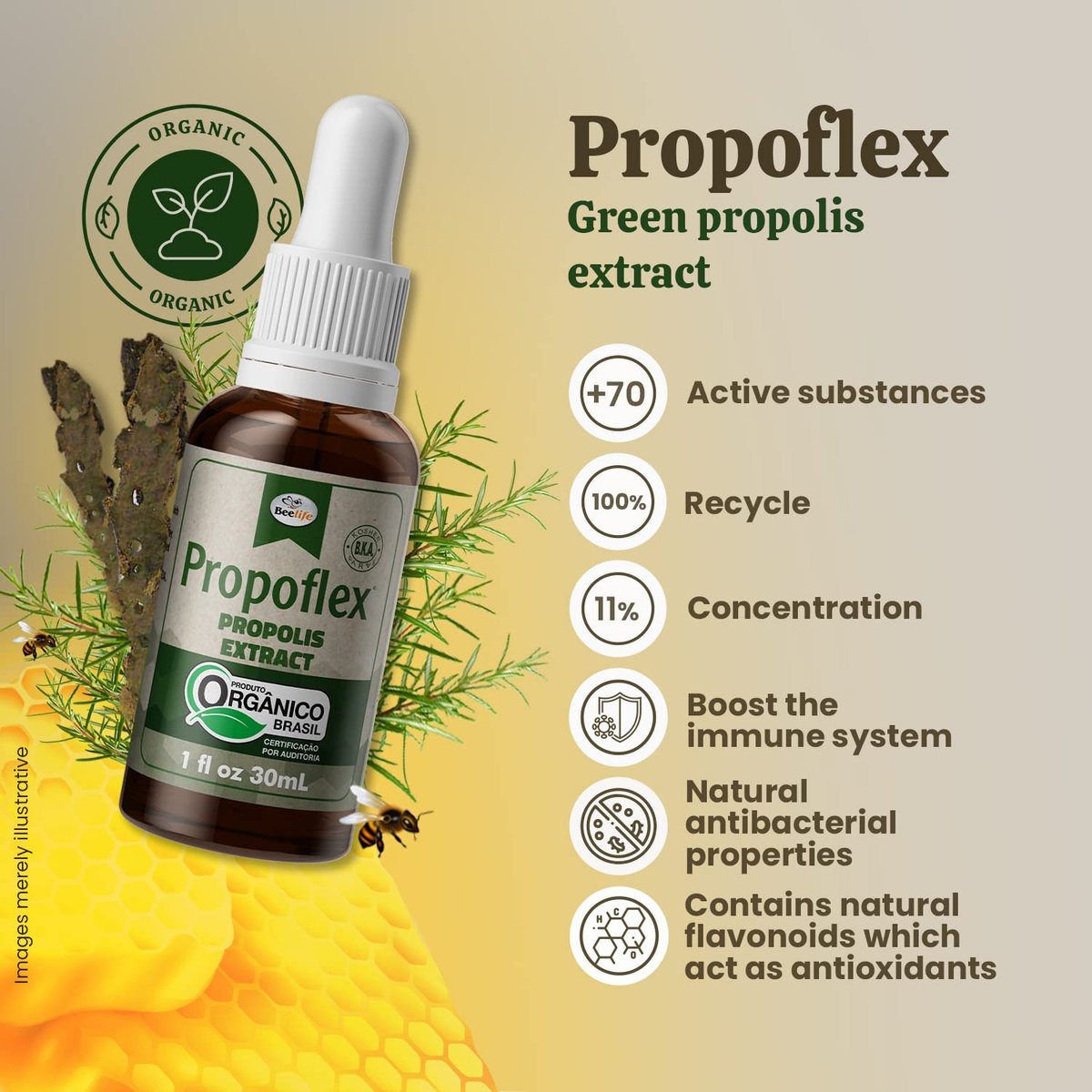 Beelife Propoflex Bio-Propolis Extrakt Organisch – Hoher Artepillin-C-Gehalt, Antioxidantienreiches Nahrungsergänzungsmittel für das allgemeine Wohlbefinden – Natürlich & Koscher – Hergestellt in Brasilien, 30 ml