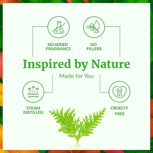 SVA Thuja Öl – 30 ml – 100% reines Thujaöl für Diffuser, Haarpflege, Gesicht, Hautpflege, Aromatherapie, Kopfhaut- und Körpermassage, Seifen- und Kerzenherstellung – mit Pipette