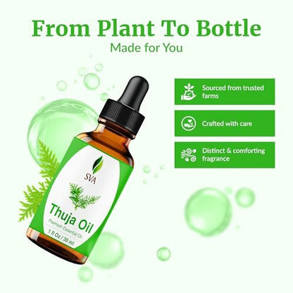SVA Thuja Öl – 30 ml – 100% reines Thujaöl für Diffuser, Haarpflege, Gesicht, Hautpflege, Aromatherapie, Kopfhaut- und Körpermassage, Seifen- und Kerzenherstellung – mit Pipette