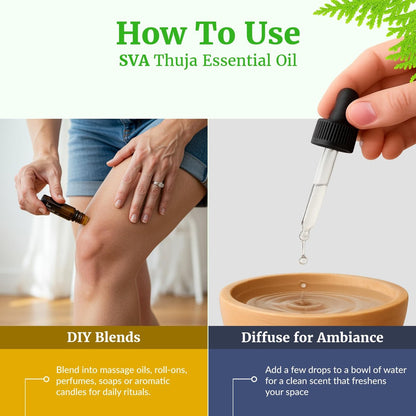 SVA Thuja Öl – 30 ml – 100% reines Thujaöl für Diffuser, Haarpflege, Gesicht, Hautpflege, Aromatherapie, Kopfhaut- und Körpermassage, Seifen- und Kerzenherstellung – mit Pipette